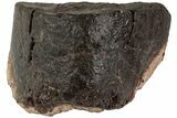 Chondrite Meteorite ( g) - Western Sahara Desert #222640-2